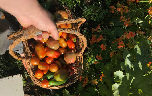 A Creative Life – Earrings, Gardening, Community And How They All Connect