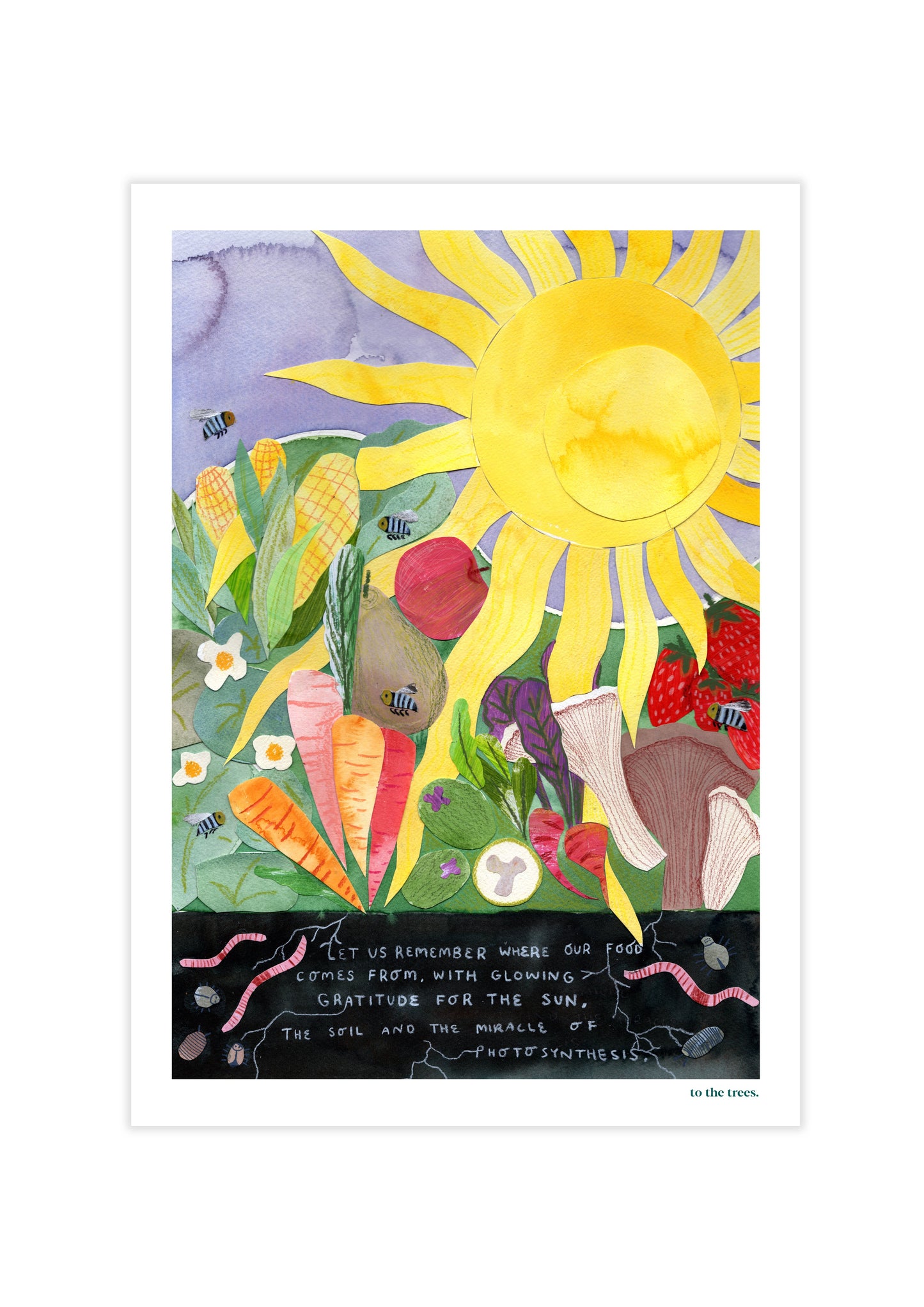 Photosynthesis Miracle Art Print | Australian Nature Inspired Wall Art
