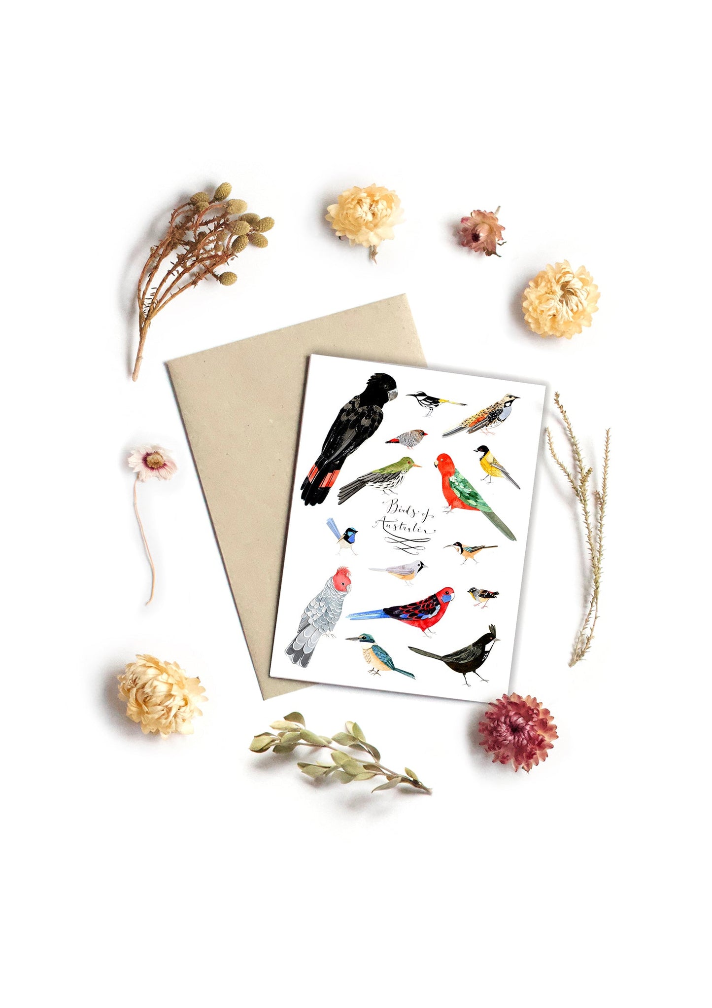 Greeting Card - Some Birds of Australia