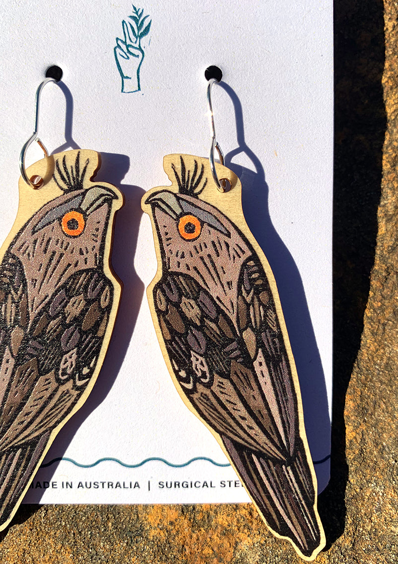 Tawny Frogmouth Earrings