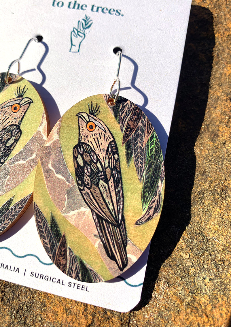 Tawny Frogmouth Earrings