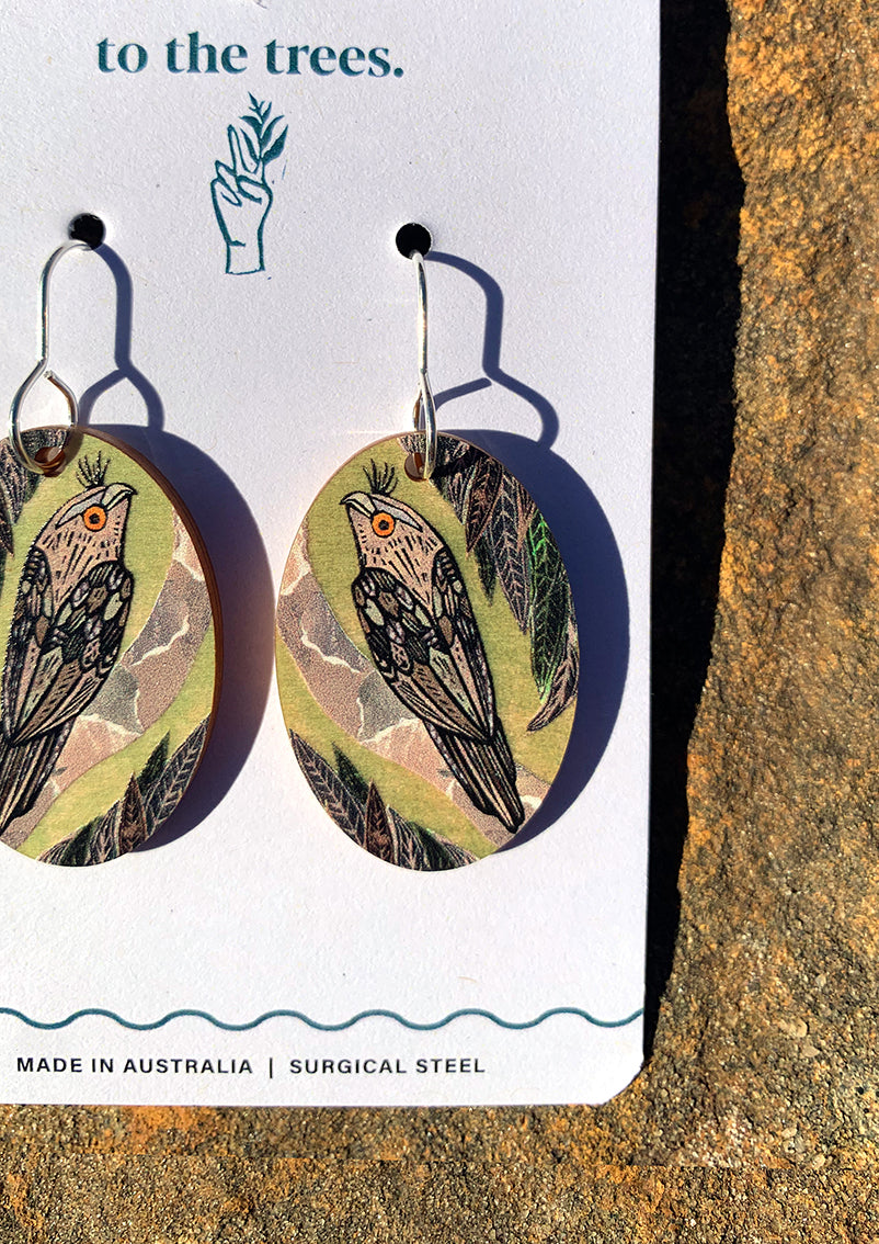 Tawny Frogmouth Earrings
