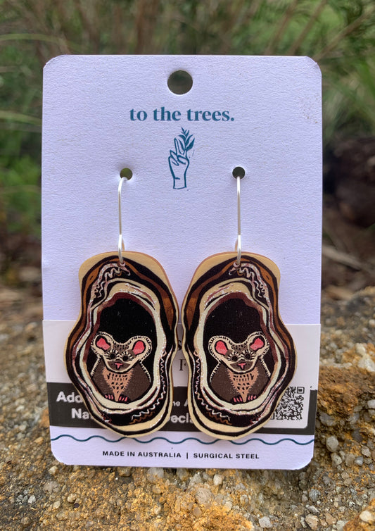 Greater Glider Earrings