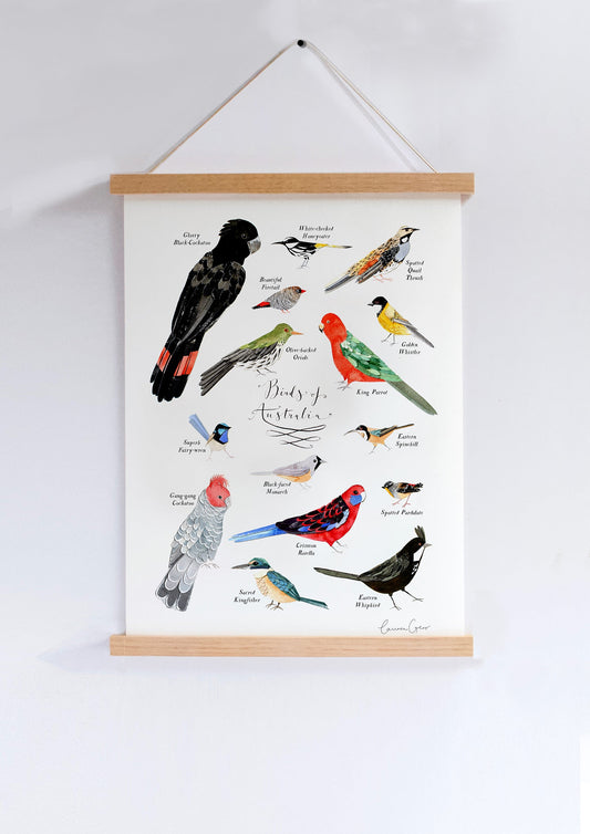 Art Print - Some Birds of Australia