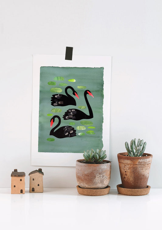Art Print - Black Swans