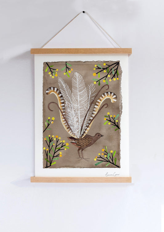 Art Print - Lyrebird & Wattle