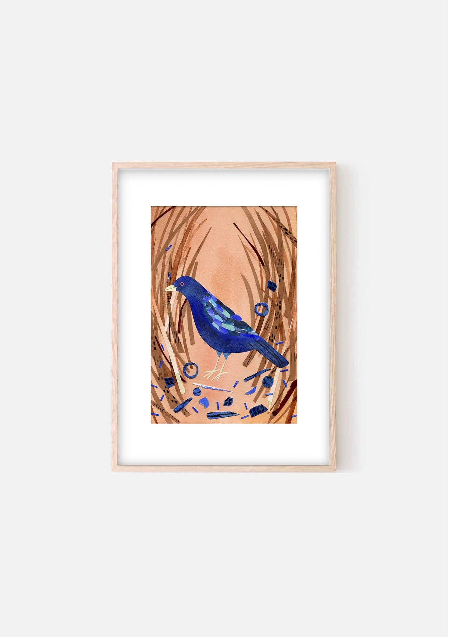 Art Print - Blue Bower Bird