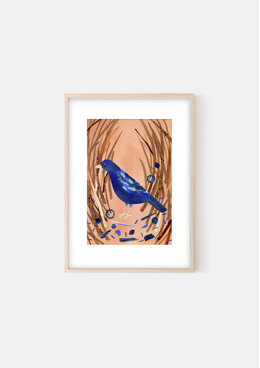 Art Print - Blue Bower Bird