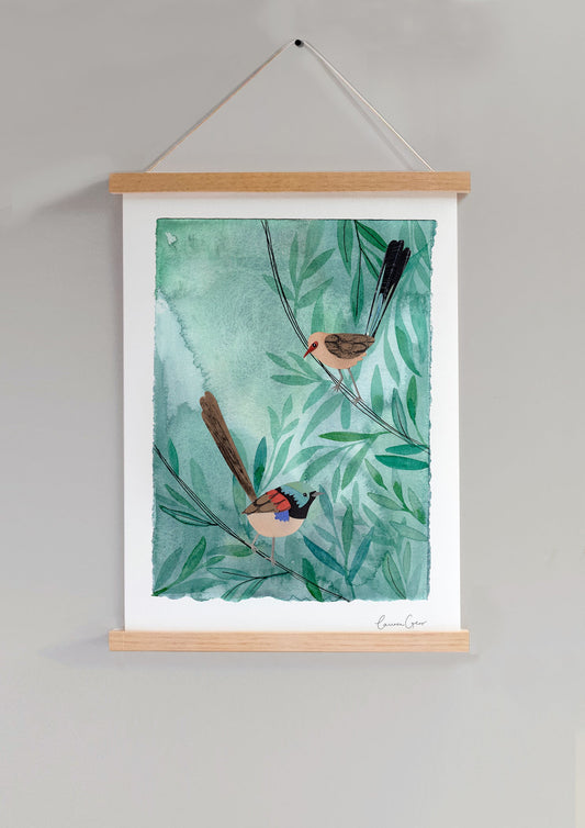 Art Print - Variegated Fairy Wrens