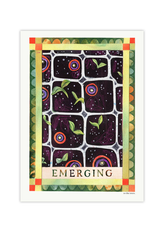Emerging Art Print | Australian Botanical Wall Decor