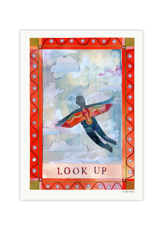 Look Up Art Print | Australian Nature Wall Decor