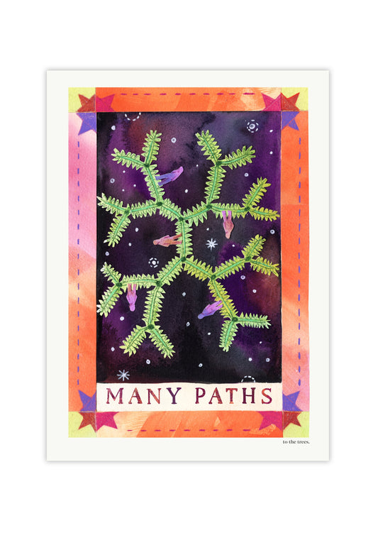Many Paths Art Print | Australian Nature Inspired Wall Art