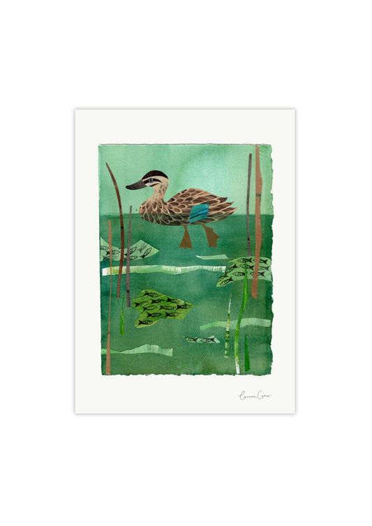 Art Print - Duck