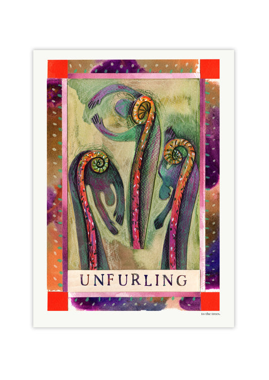 Unfurling Art Print | Botanical Australian Wall Art